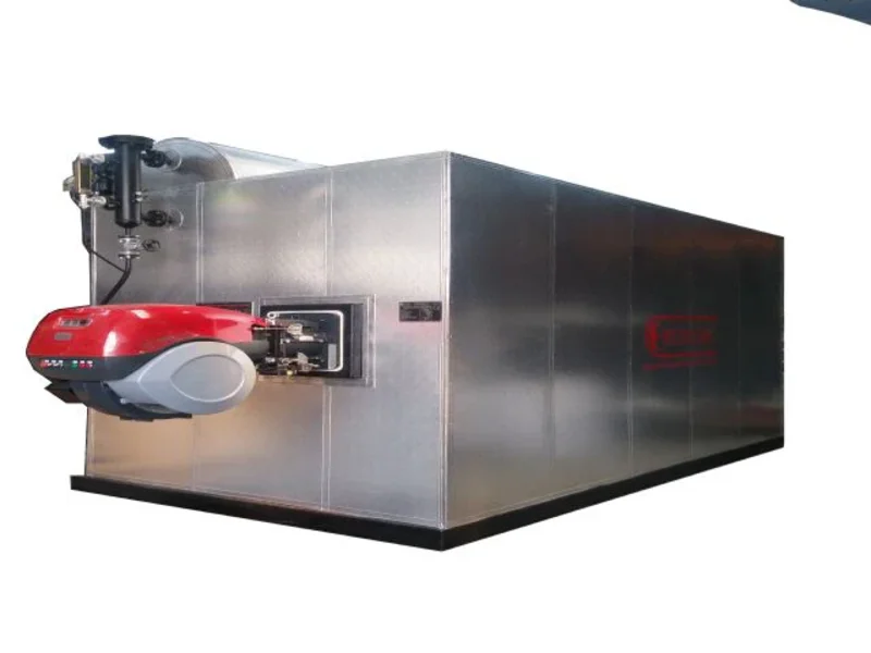 Su Borulu D Tipi Buhar Kazanı